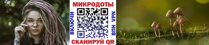 Псилоцибиновые грибы Magic Shrooms  сколько стоит  Тында 